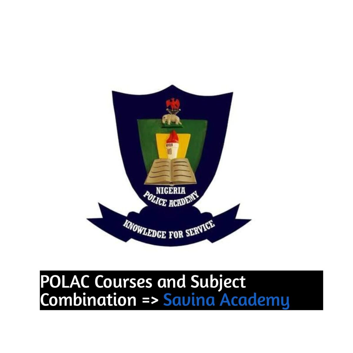 POLAC Courses and Subject Combination