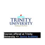 Courses offered at Trinity University