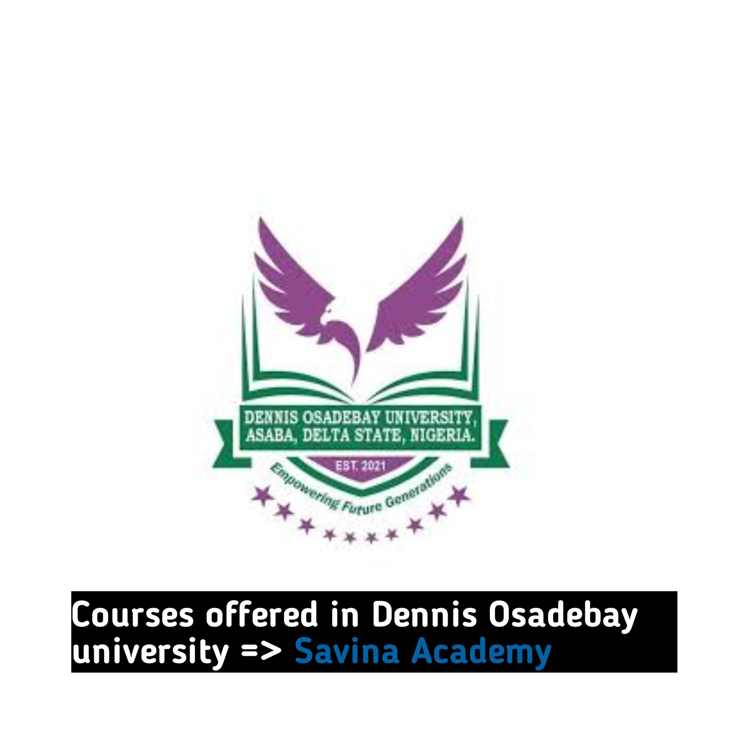 Courses offered in Dennis Osadebay university