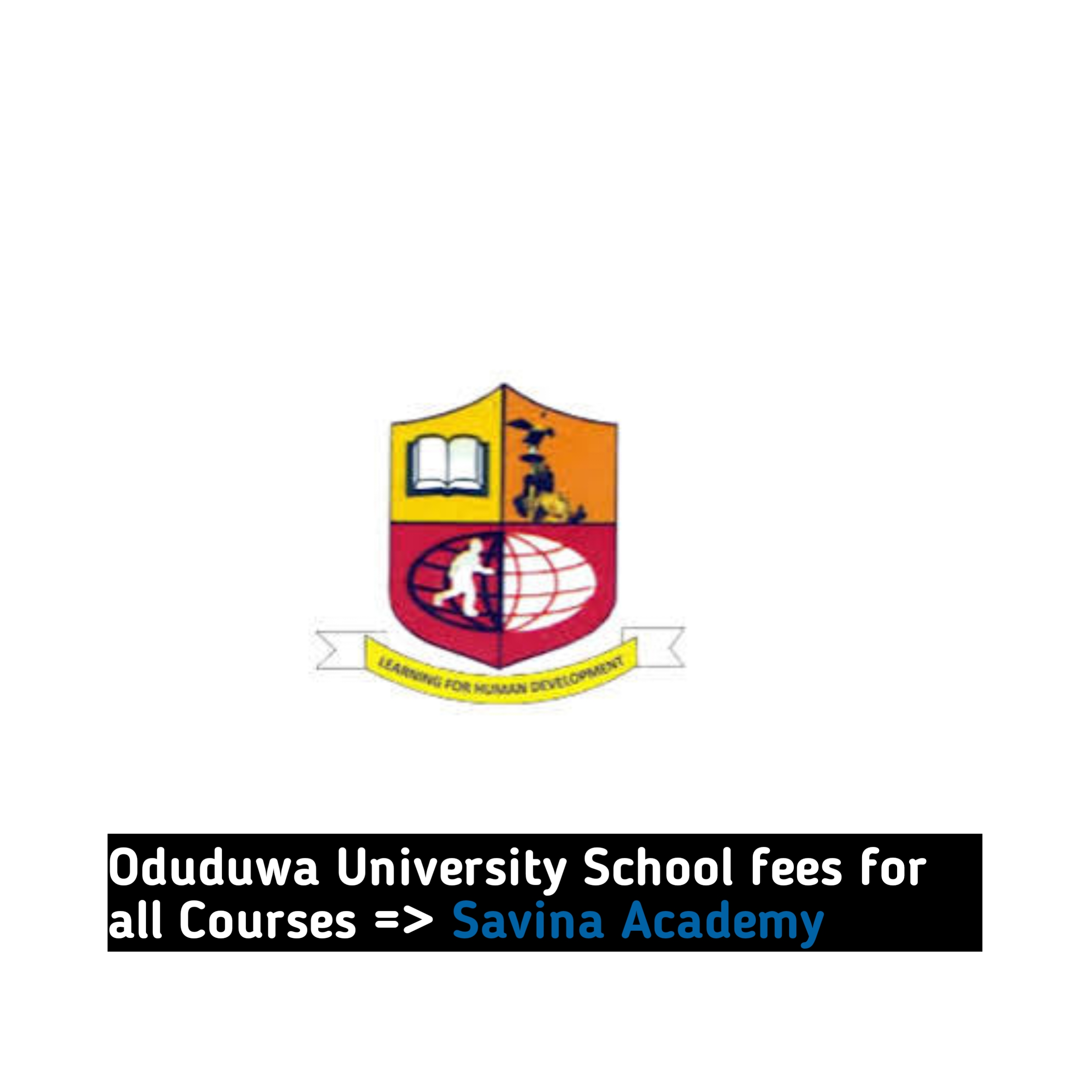 Oduduwa University School fees for all Courses
