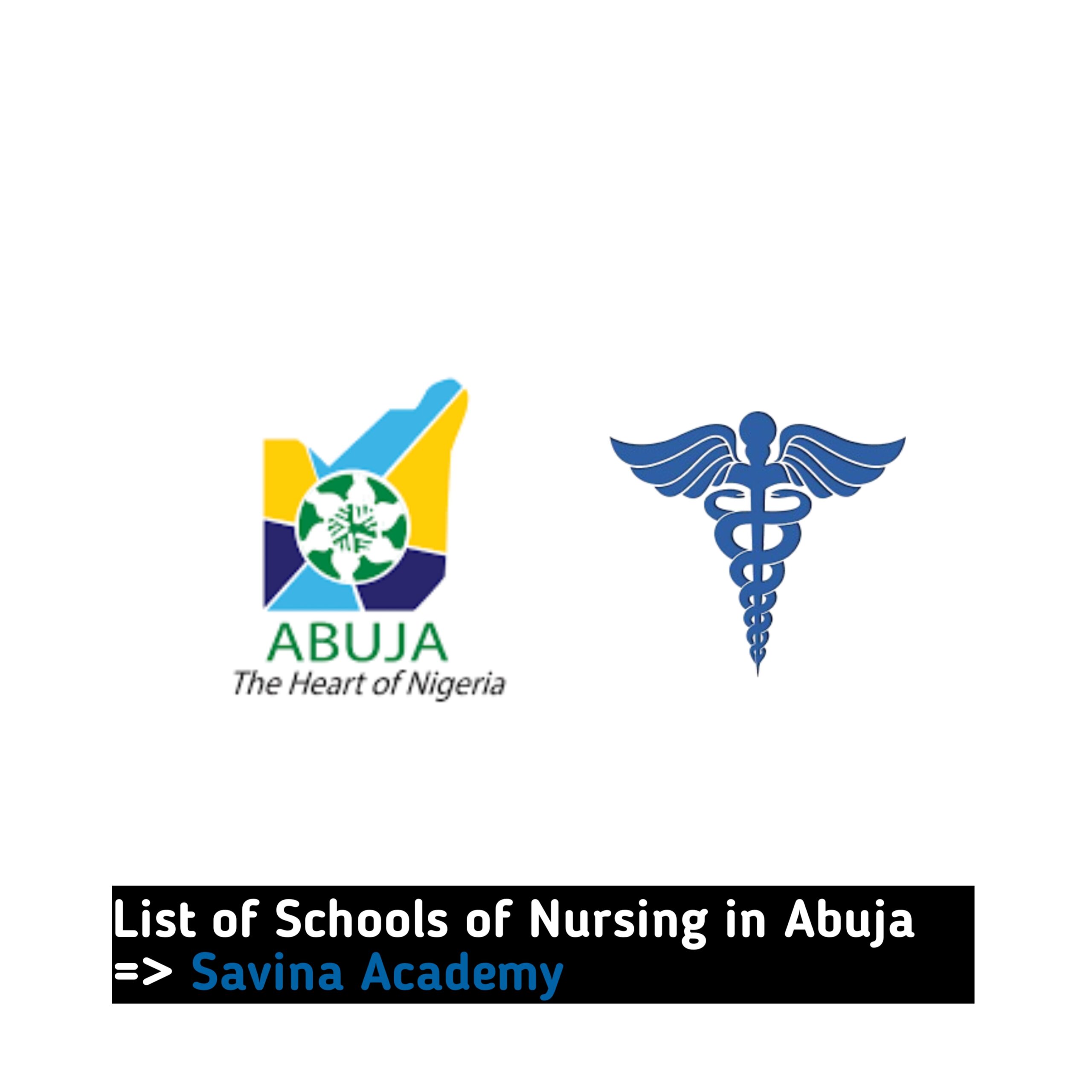 List of Schools of Nursing in Abuja