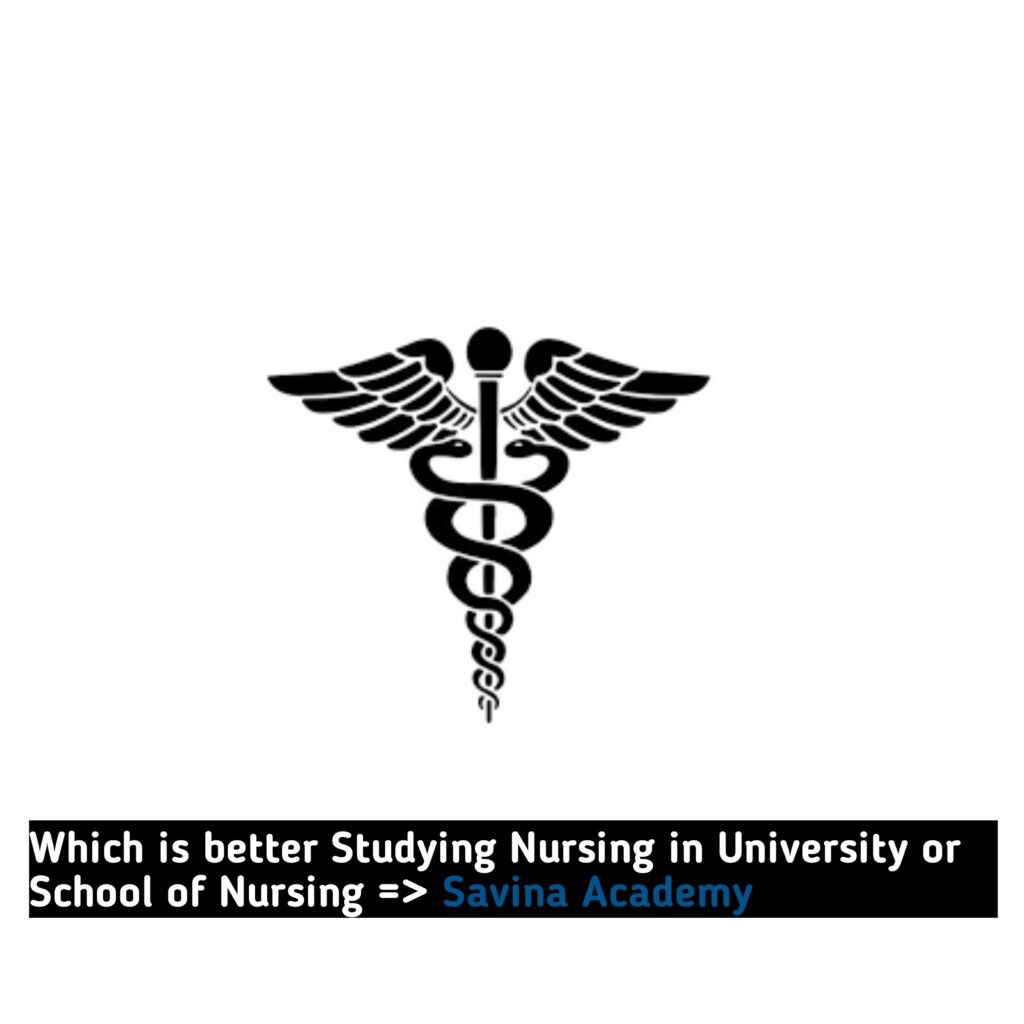 Which is better Studying Nursing in University or School of Nursing