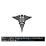 Which is better Studying Nursing in University or School of Nursing