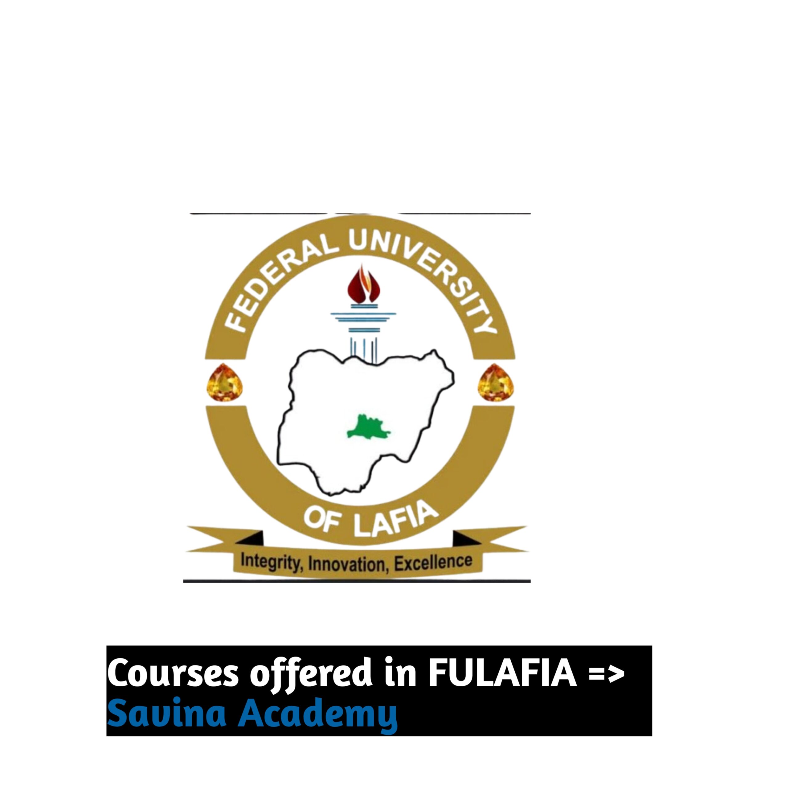 Courses offered in FULAFIA