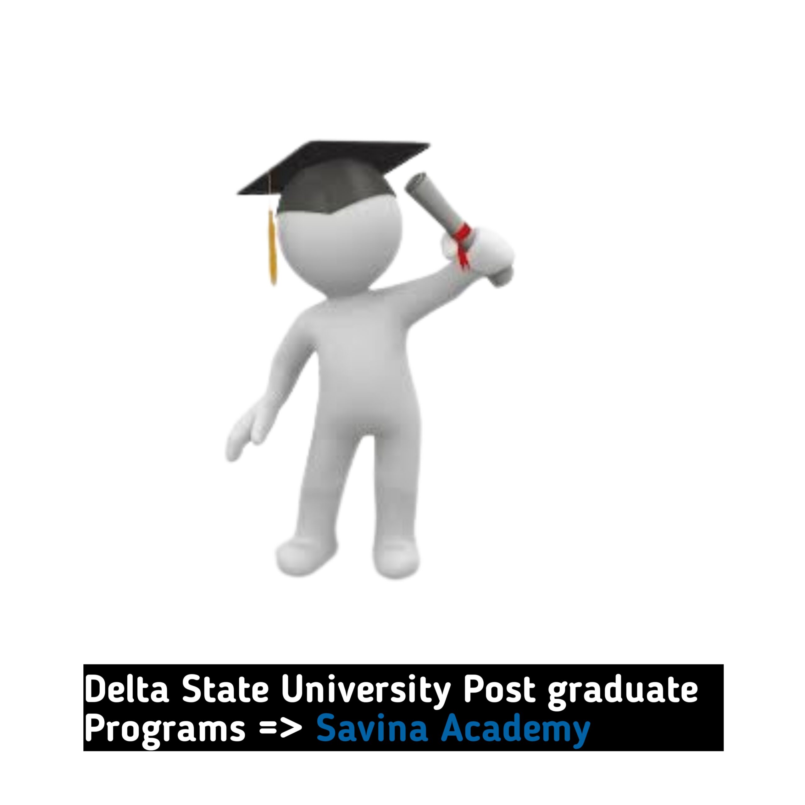 Delta State University Post graduate Programs