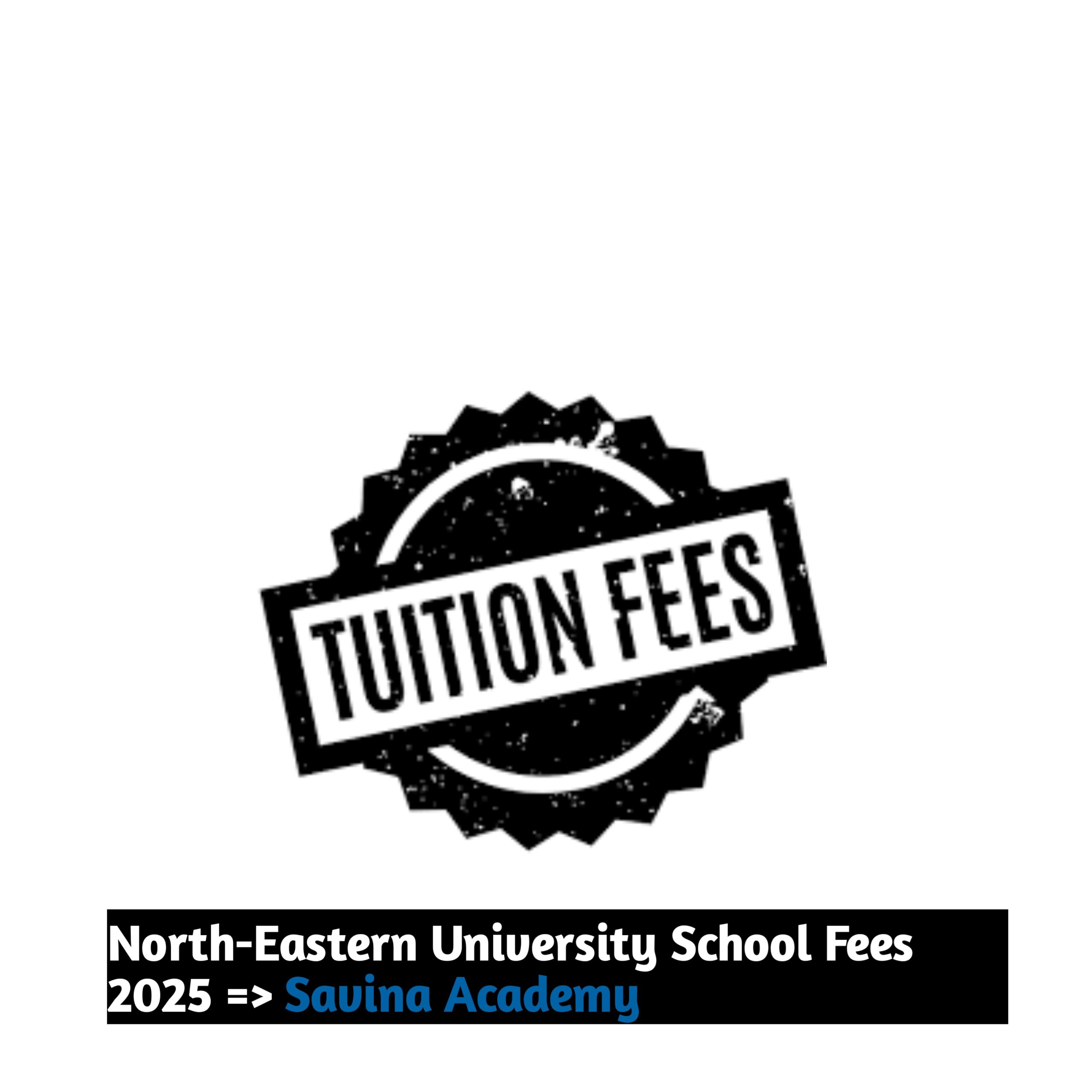 North-Eastern University School Fees 2025