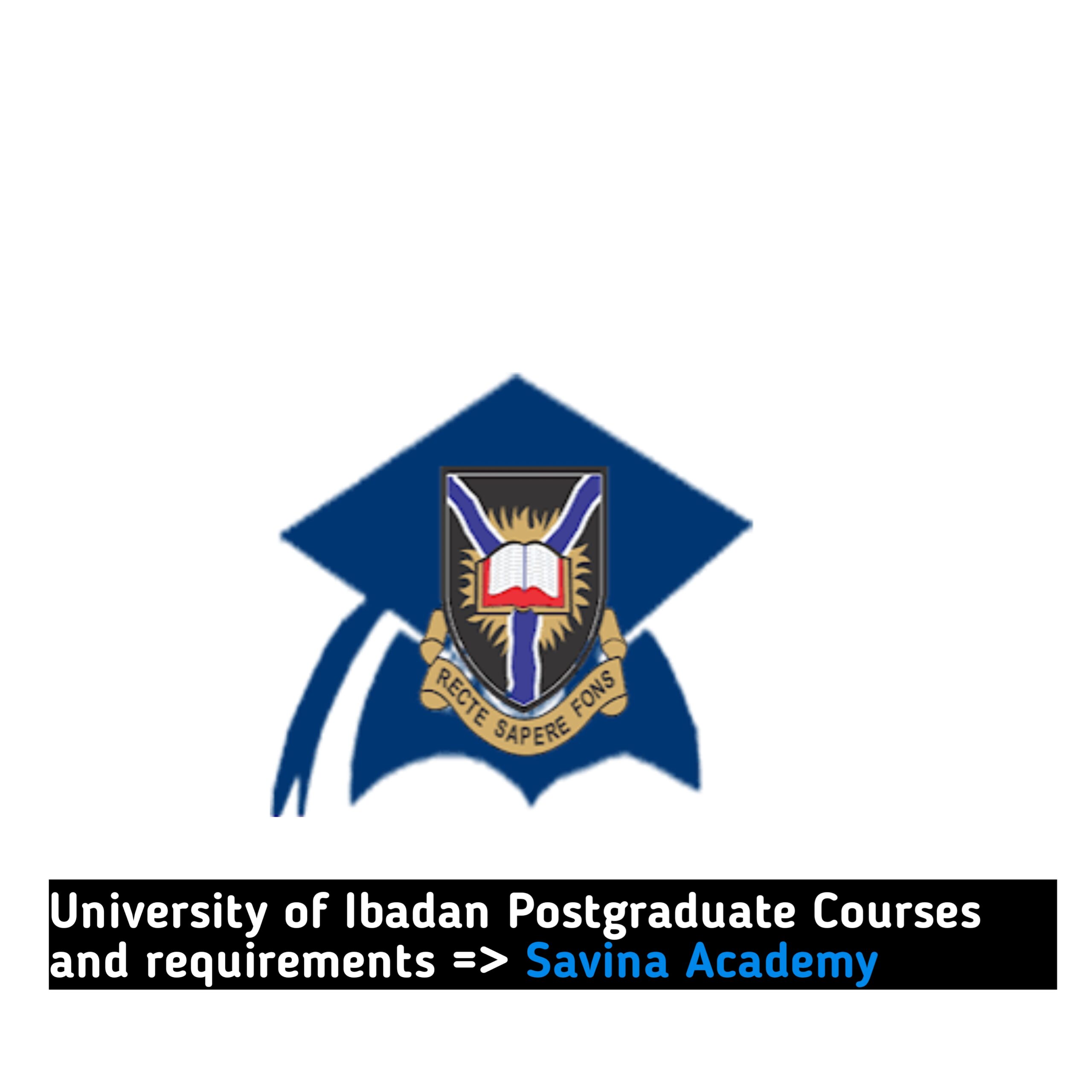 University of Ibadan Postgraduate Courses and requirements