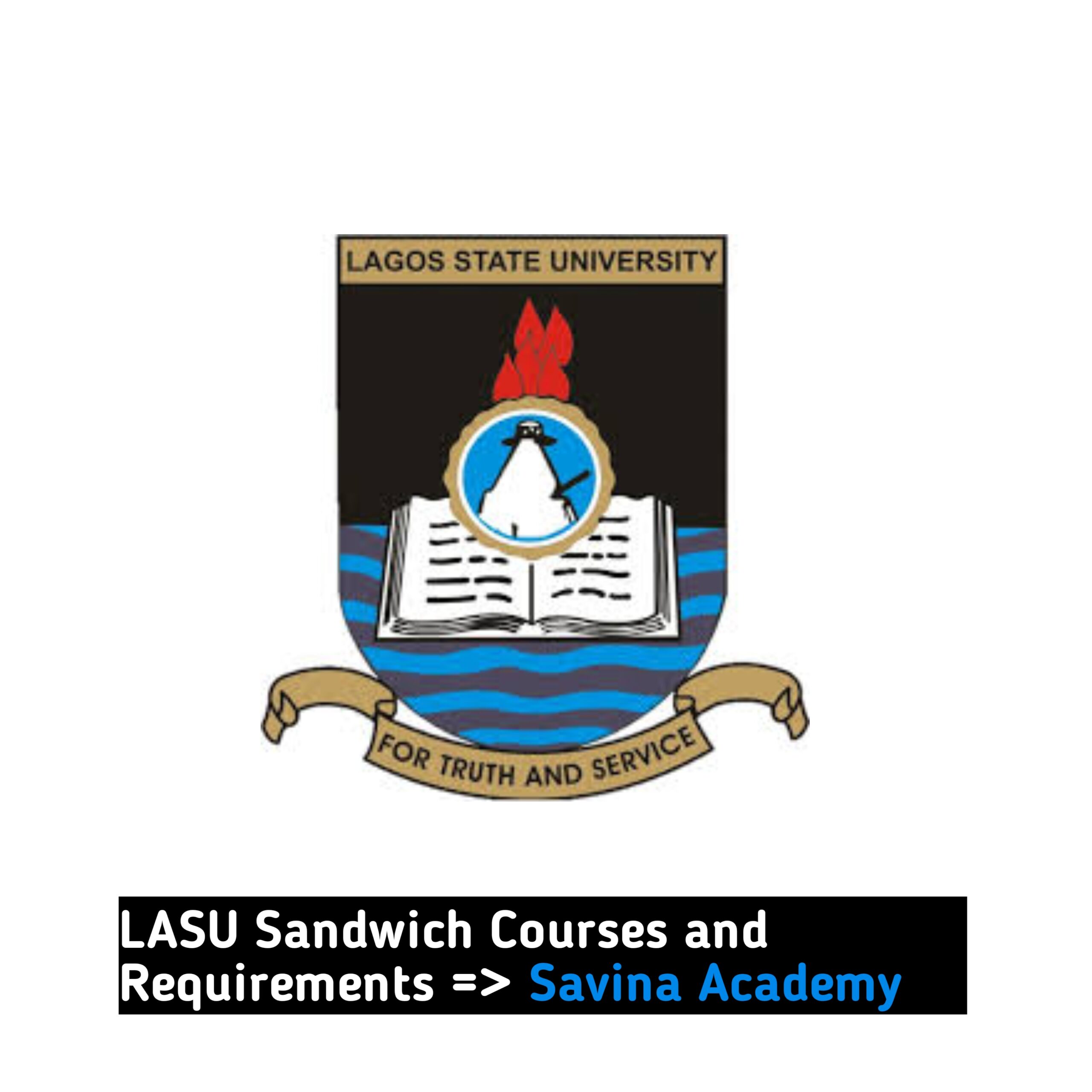 LASU Sandwich Courses and Requirements