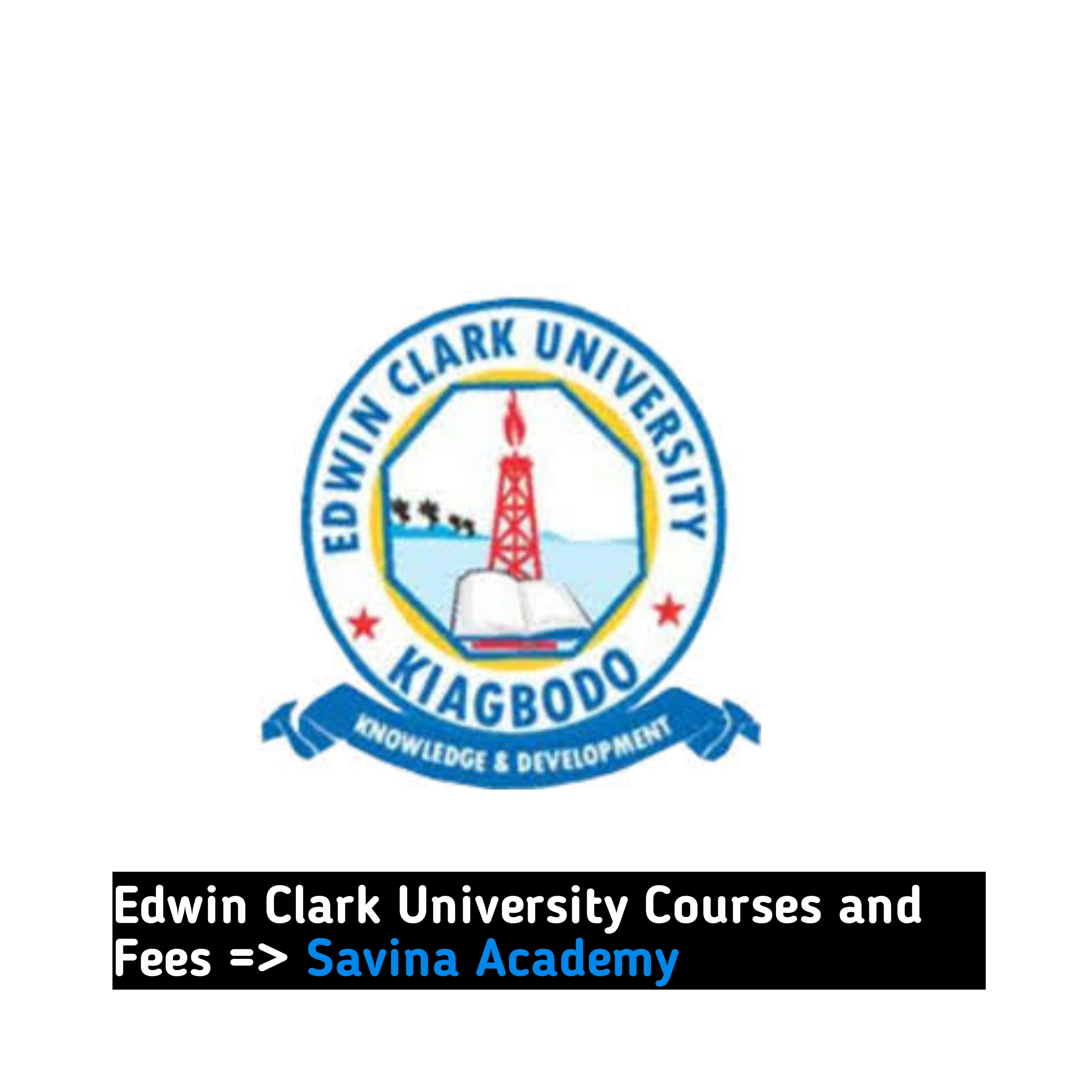 Edwin Clark University Courses and Fees