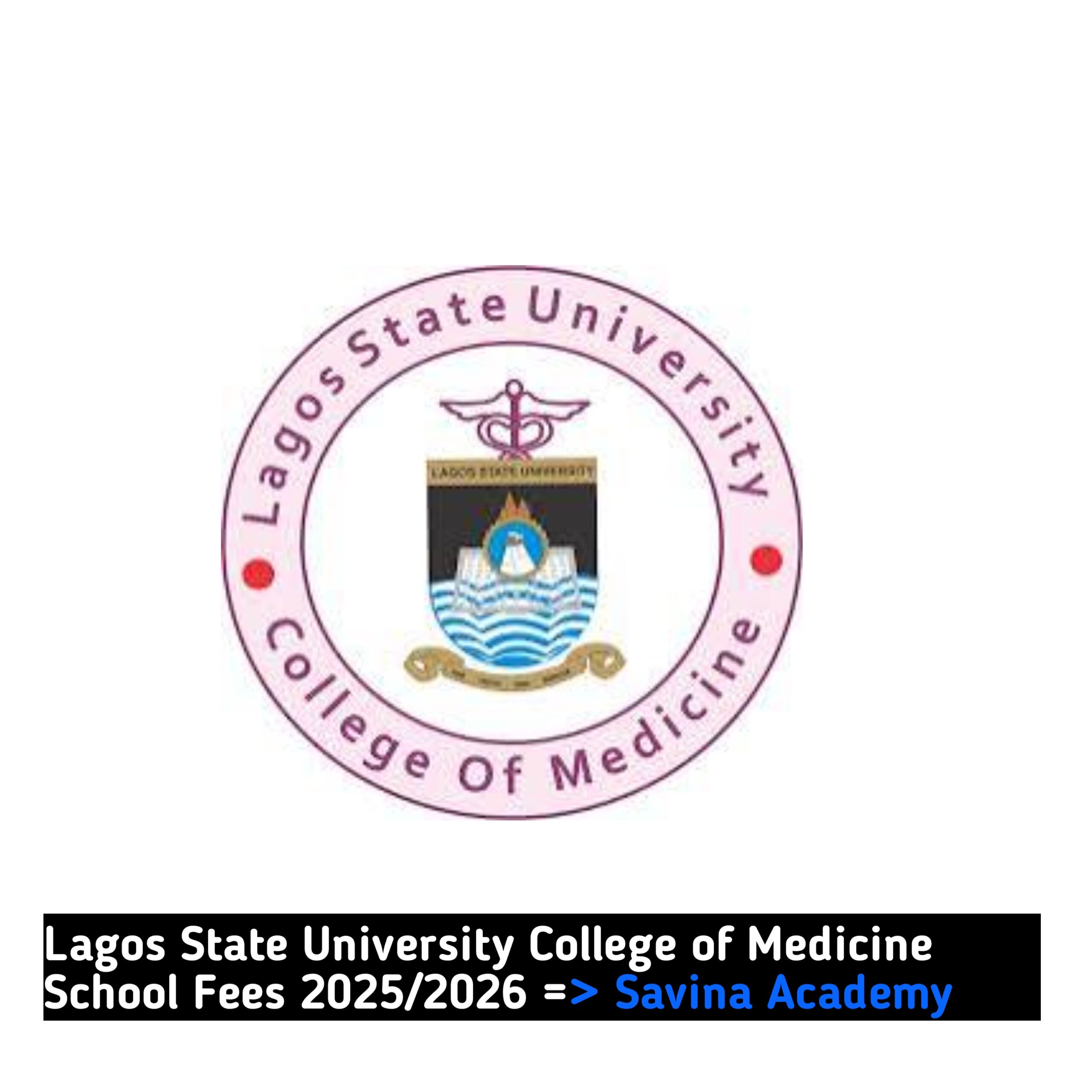 Lagos State University College of Medicine School Fees 2025/2026