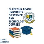 Olusegun Agagu University of Science and Technology Courses