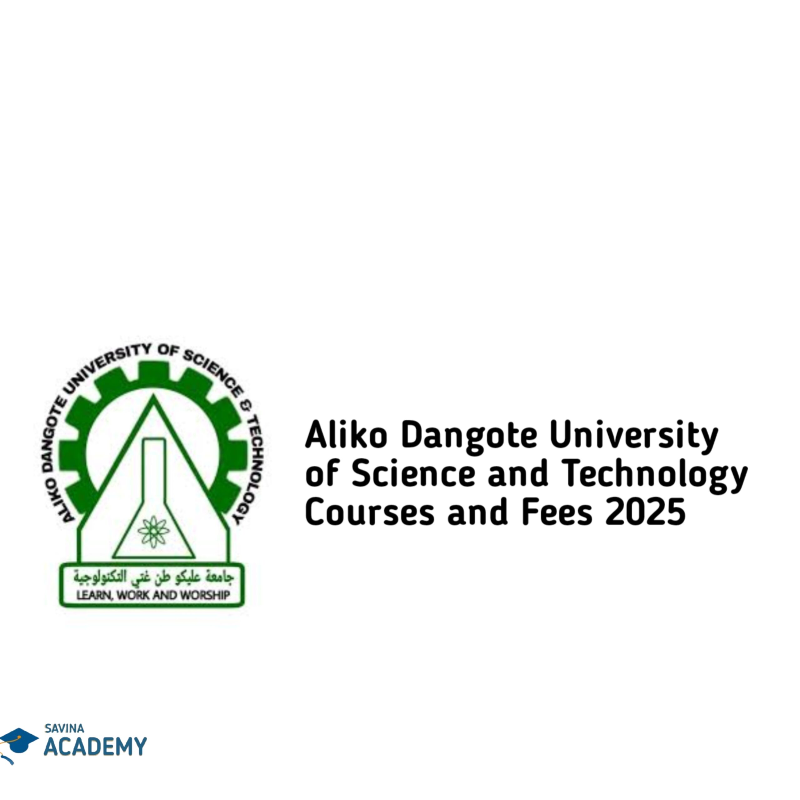 Aliko Dangote University of Science and Technology Courses and Fees