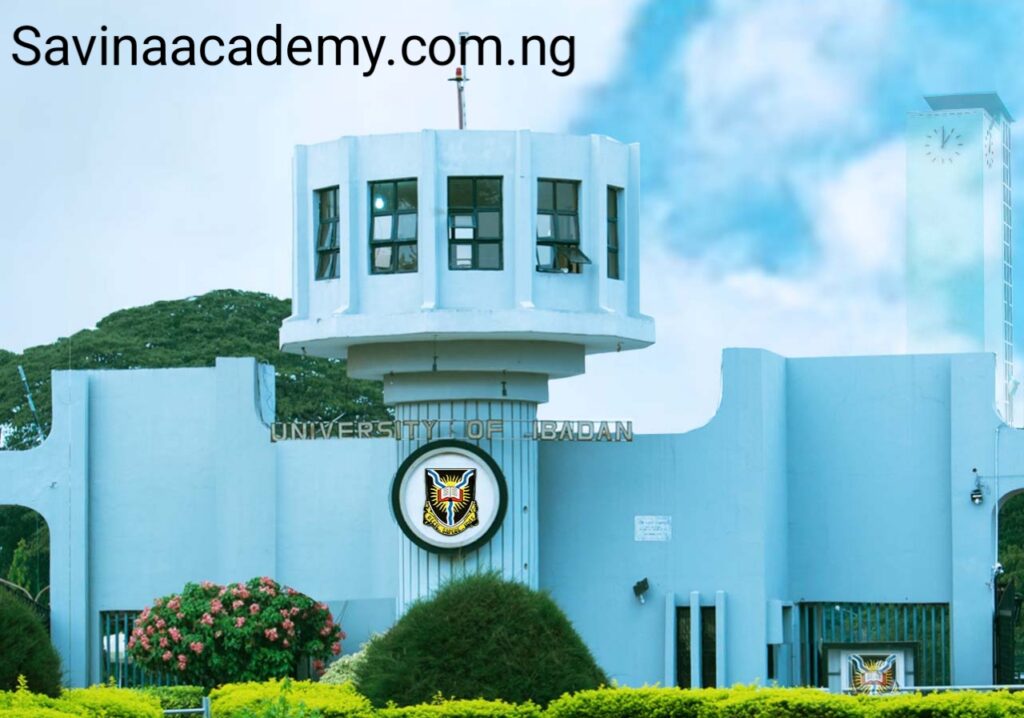 university of ibadan postgraduate