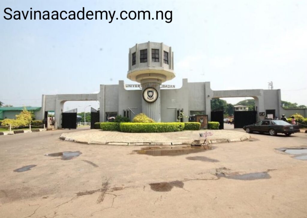 university of ibadan postgraduate school