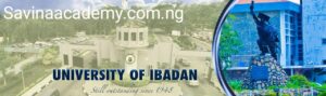 university of ibadan postgraduate
