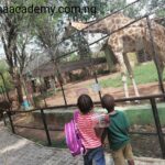 university of ibadan zoo