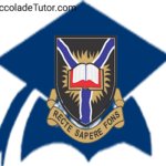 university of ibadan postgraduate portal
