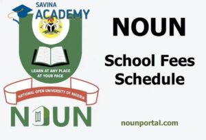 noun school fees