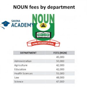 noun school fees