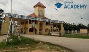 delta state university of science and technology ozoro