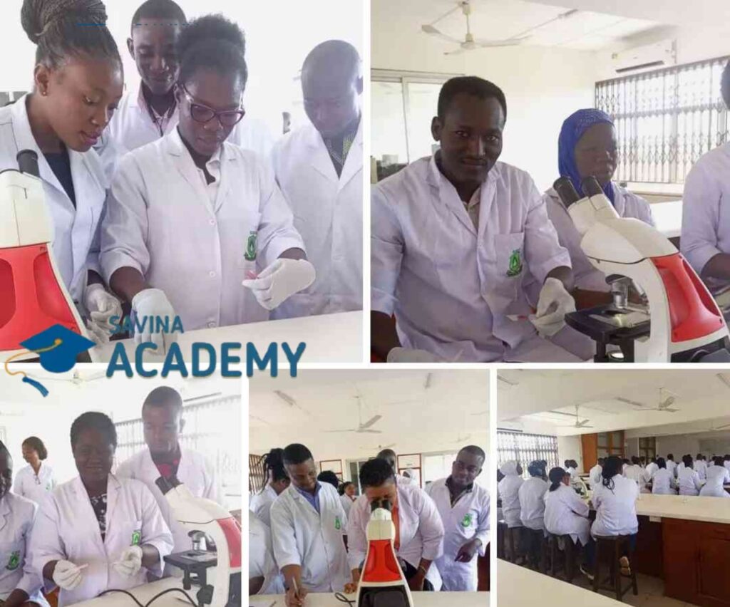 list of school of nursing in nigeria and their fees