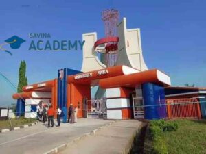 Cut Off Mark for Nursing in UNIZIK