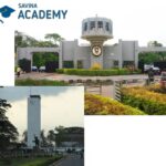 university of ibadan school fees