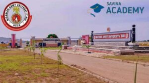 nigerian army university biu school fees