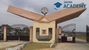 list of federal universities in nigeria and their school fees