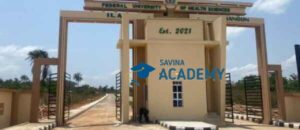 federal university of health sciences ila orangun school fees