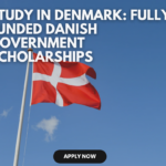 Government of Denmark Scholarship
