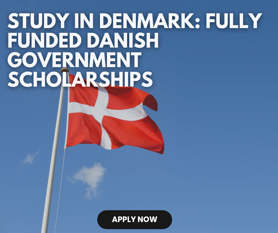 Government of Denmark Scholarship