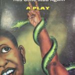 Themes in Ola Rotimi’s Our Husband Has Gone Mad Again
